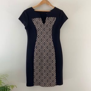 Connected Apparel Black Dress size 12